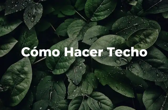 Cómo Hacer Techo