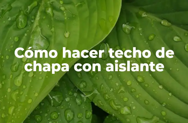 Cómo Hacer Techo de Chapa con Aislante