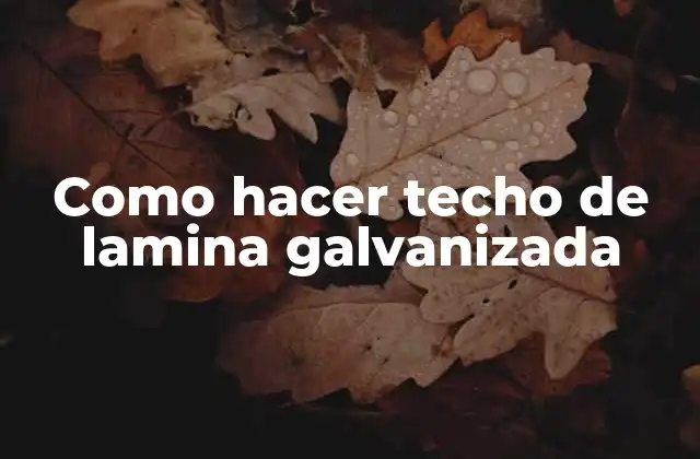 Como Hacer Techo de Lamina Galvanizada