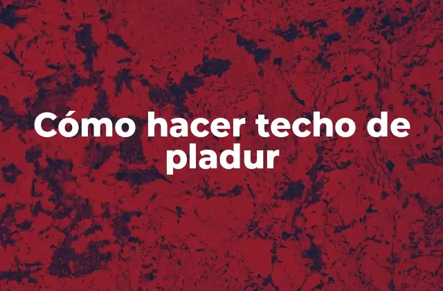 Cómo Hacer Techo de Pladur