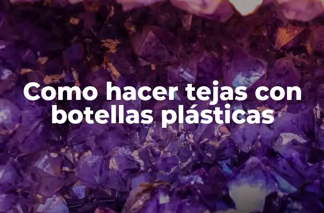 ¿Qué son tejas con botellas plásticas?