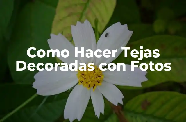 Como Hacer Tejas Decoradas con Fotos