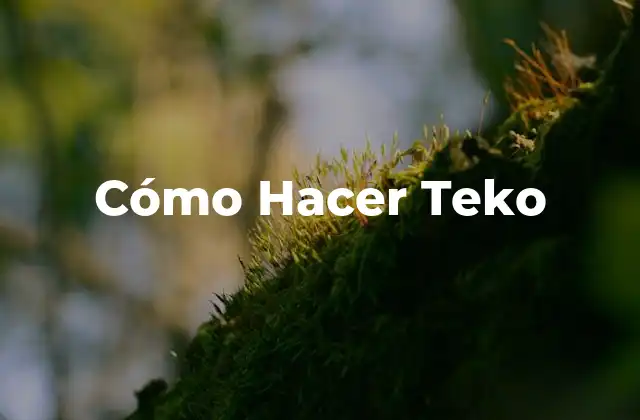 Cómo Hacer Teko 2 ¿Qué es Teko?