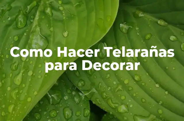 Como Hacer Telarañas para Decorar 2 Como Hacer Telarañas para Decorar