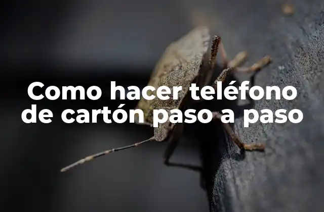 Como Hacer Teléfono de Cartón Paso a Paso
