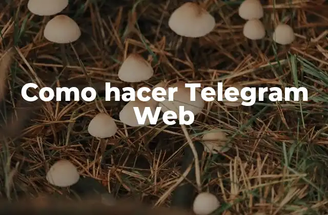 ¿Qué es Telegram Web?
