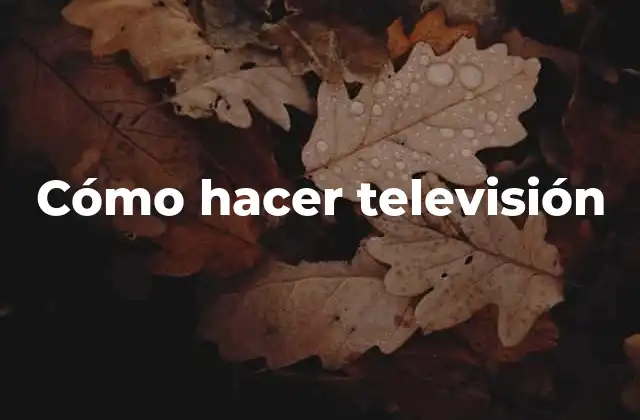 Cómo Hacer Televisión