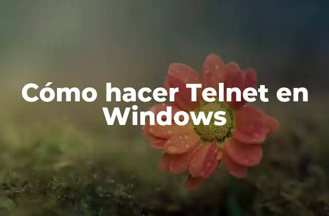 Cómo Hacer Telnet en Windows