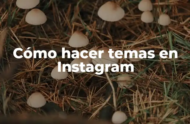 Cómo Hacer Temas en Instagram