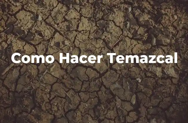 ¿Qué es el Temazcal?