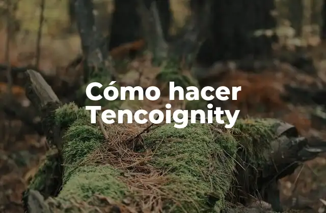 Cómo Hacer Tencoignity
