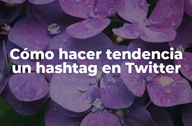 Cómo Hacer Tendencia un Hashtag en Twitter