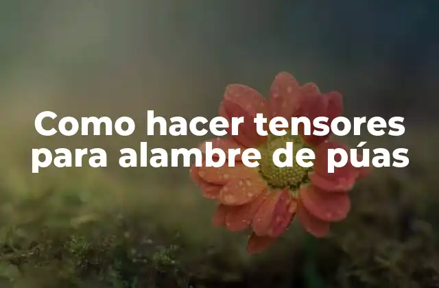 Como Hacer Tensores para Alambre de Púas