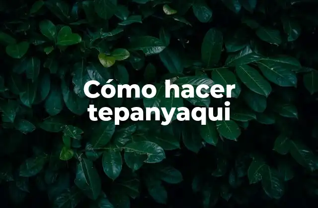 Cómo Hacer Tepanyaqui