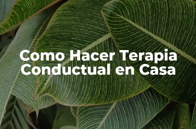 Como Hacer Terapia Conductual en Casa