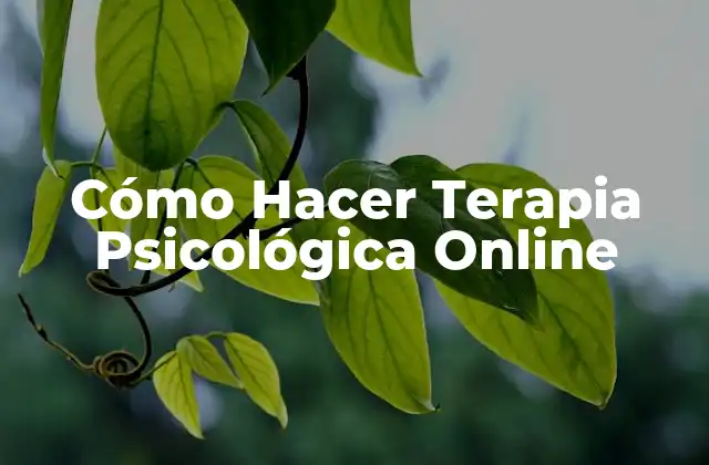 Cómo Hacer Terapia Psicológica Online