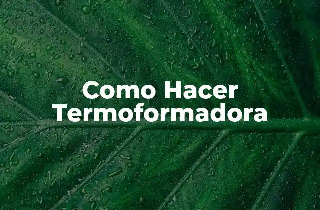 Como Hacer Termoformadora