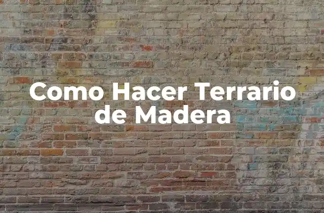 ¿Qué es un Terrario de Madera?