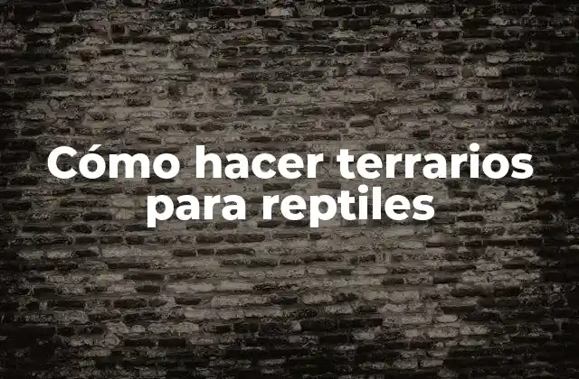 Cómo Hacer Terrarios para Reptiles