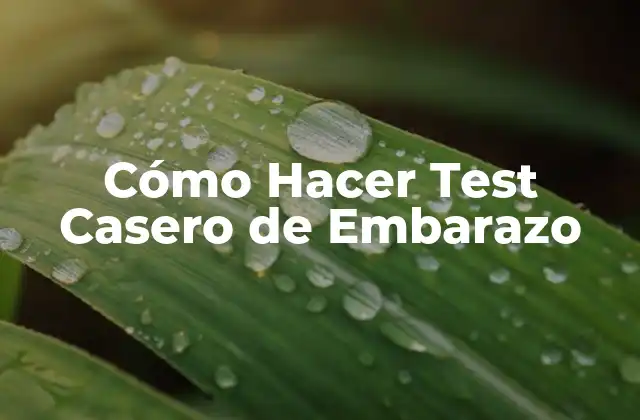 Cómo Hacer Test Casero de Embarazo