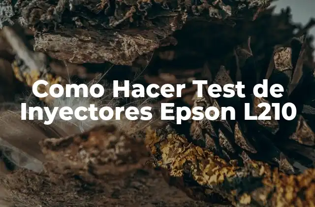 Como Hacer Test de Inyectores Epson L210