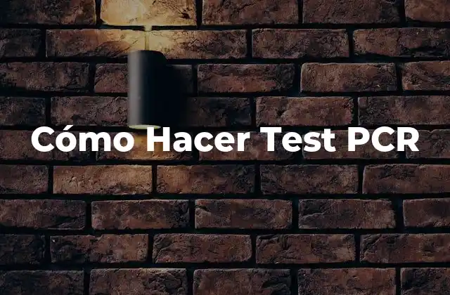 ¿Qué es un Test PCR?