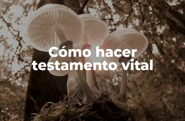 Cómo Hacer Testamento Vital 2 ¿Qué es un testamento vital?