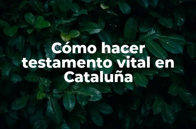 Cómo Hacer Testamento Vital en Cataluña