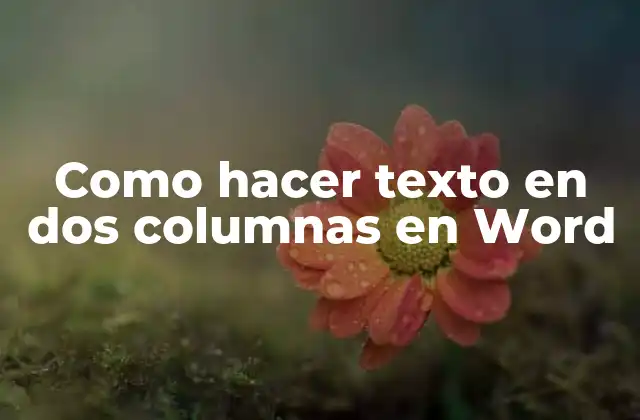 Como Hacer Texto en Dos Columnas en Word
