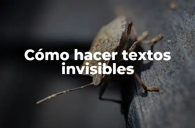 Cómo Hacer Textos Invisibles