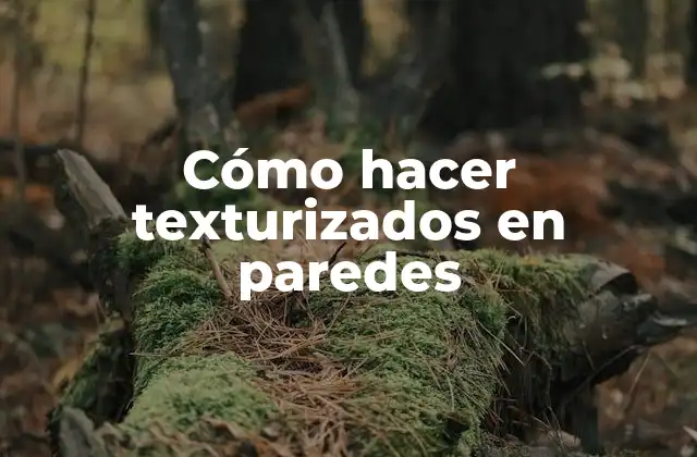 Cómo Hacer Texturizados en Paredes