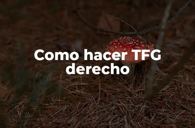 Como Hacer Tfg Derecho