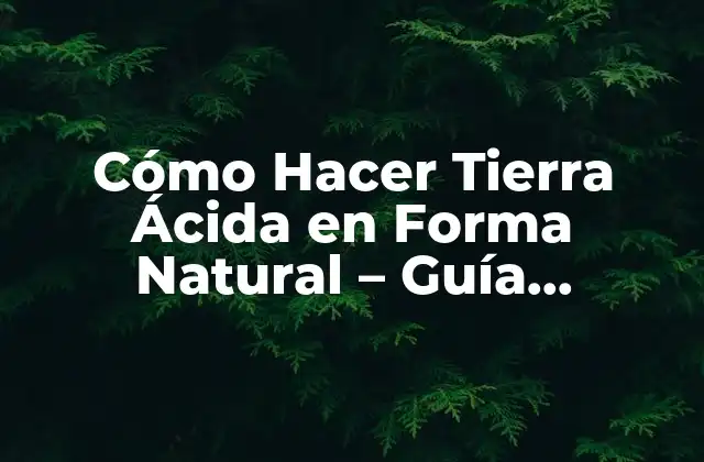 Cómo Hacer Tierra Ácida en Forma Natural – Guía Completa