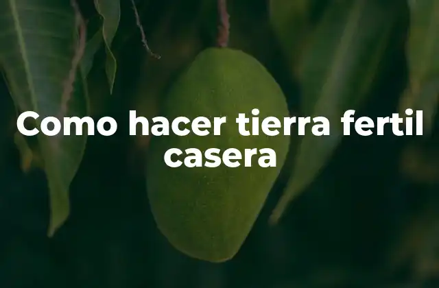 Como Hacer Tierra Fertil Casera 2 ¿Qué es la tierra fertil casera y para qué sirve?