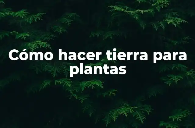 Cómo Hacer Tierra para Plantas