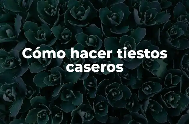 Cómo hacer tiestos caseros