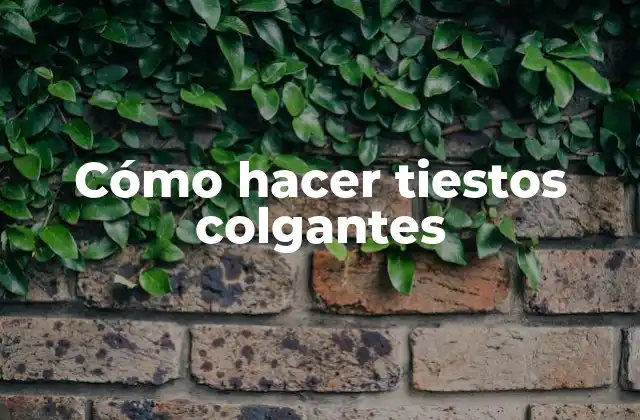 Cómo Hacer Tiestos Colgantes