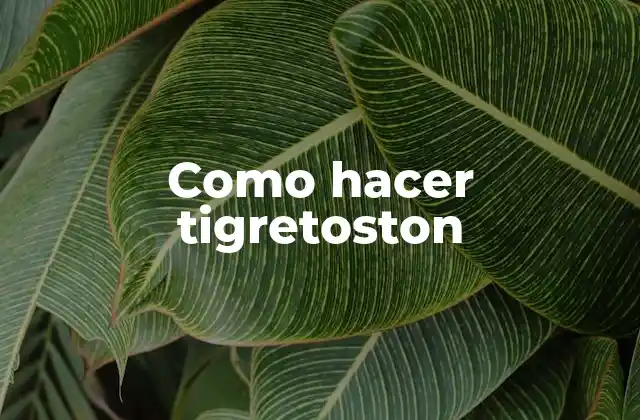 Como Hacer Tigretoston