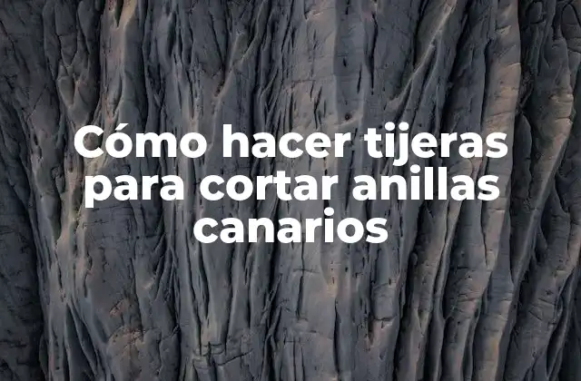 Cómo Hacer Tijeras para Cortar Anillas Canarios