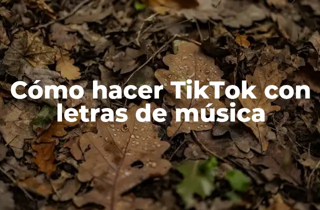 Cómo Hacer Tiktok con Letras de Música