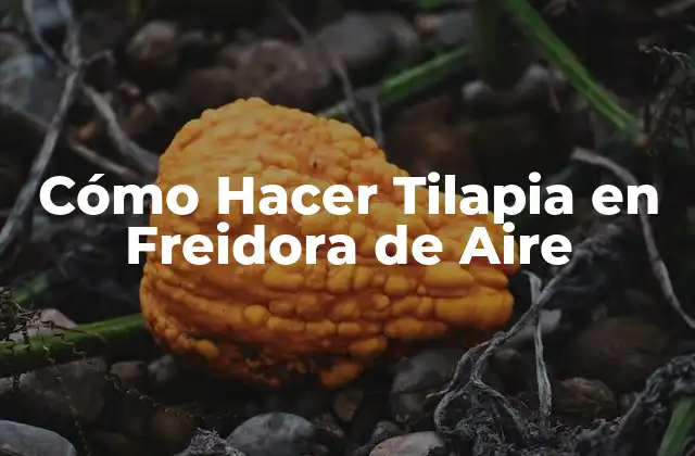 Cómo Hacer Tilapia en Freidora de Aire