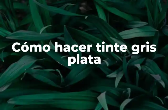 ¿Qué es el tinte gris plata y para qué sirve?