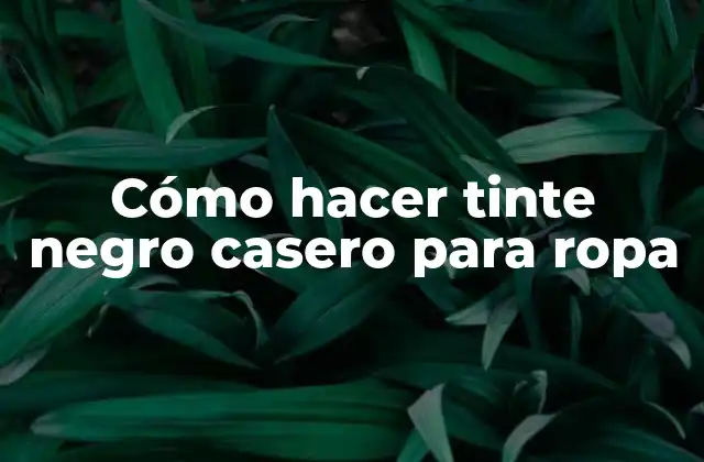 Cómo Hacer Tinte Negro Casero para Ropa