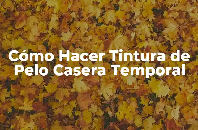 Cómo Hacer Tintura de Pelo Casera Temporal