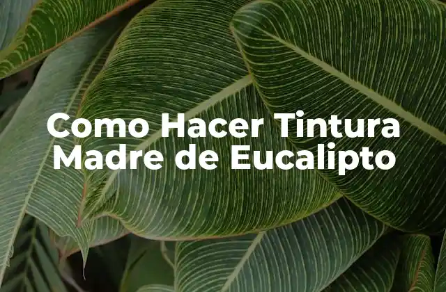 Como Hacer Tintura Madre de Eucalipto