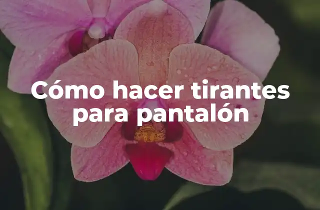 Cómo Hacer Tirantes para Pantalón