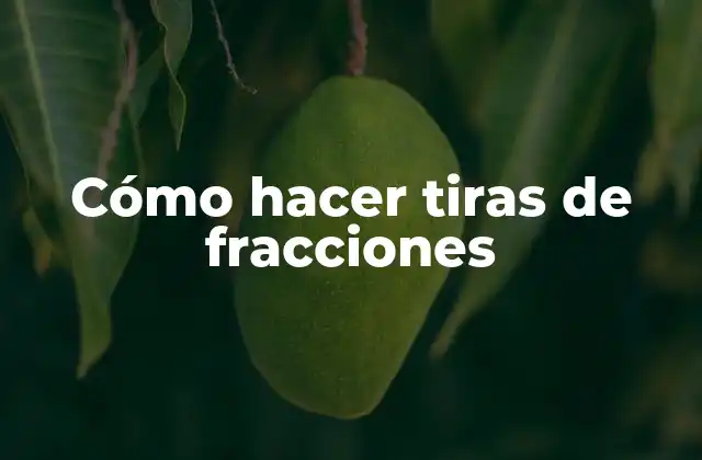 Cómo Hacer Tiras de Fracciones 2 Tiras de fracciones