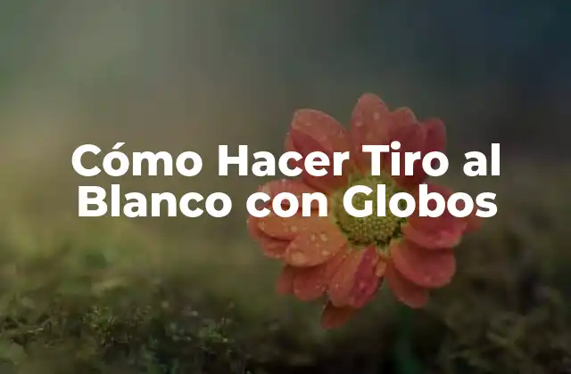 Cómo Hacer Tiro Al Blanco con Globos 2 Cómo Hacer Tiro al Blanco con Globos