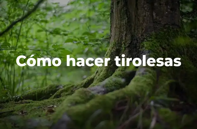 Cómo Hacer Tirolesas