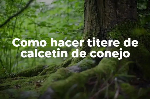 Como Hacer Titere de Calcetin de Conejo
